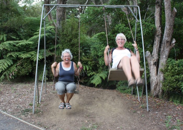 people on a swing