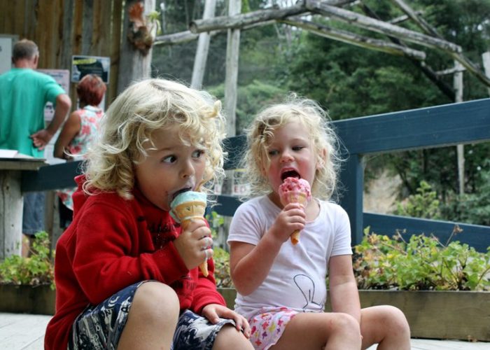 Children with ice-creams